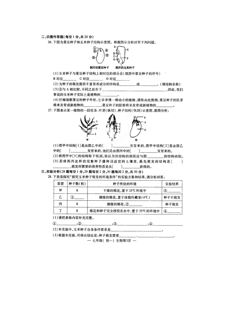 江西省南昌市七级生物上学期期末终结性测试试题（扫描版） 新人教版.doc_第3页