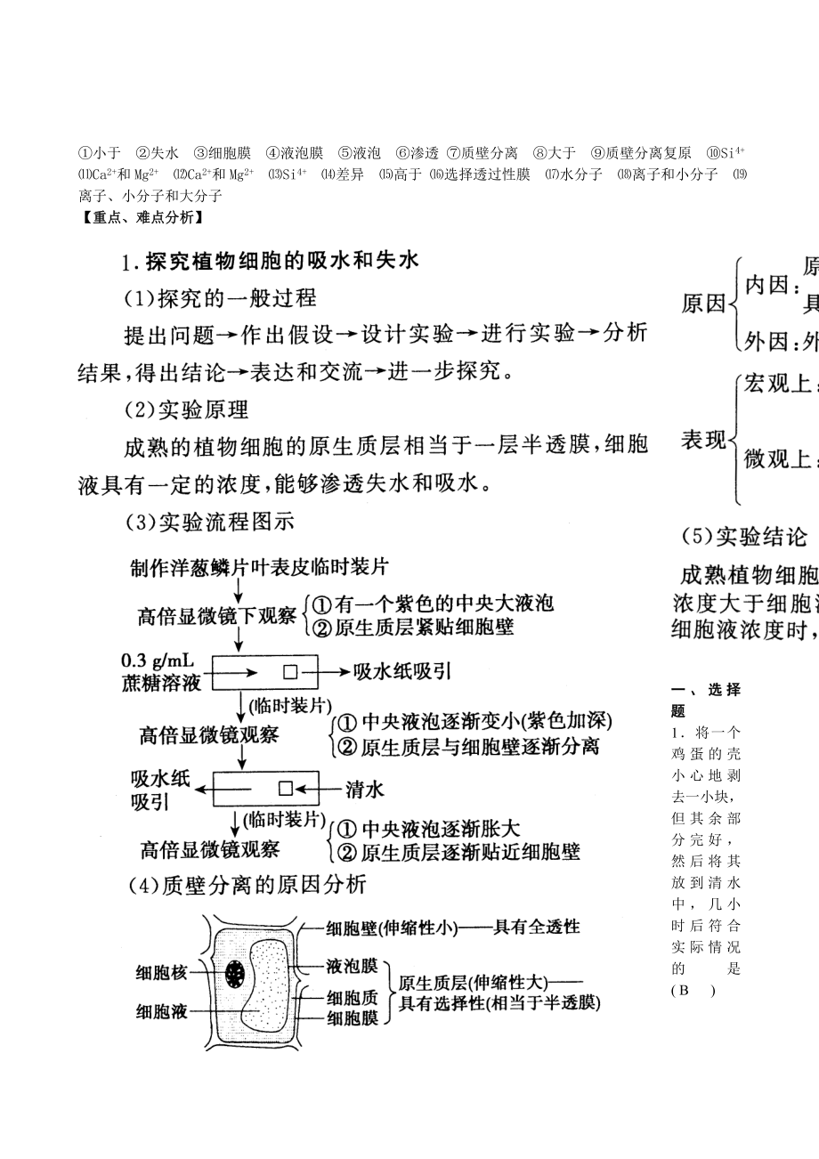 高中生物全套复习资料(必修一)(11)：第四章：第1节物质跨膜运输的实例.doc_第2页