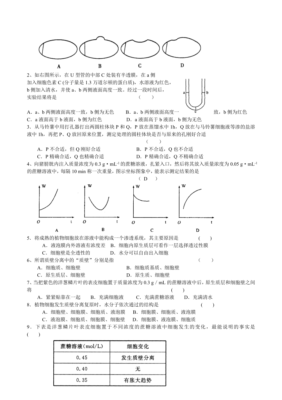 高中生物全套复习资料(必修一)(11)：第四章：第1节物质跨膜运输的实例.doc_第3页