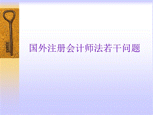 国外注册会计师法若干问题.ppt