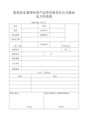 霍邱县东蓼国有资产运营有限责任公司就业见习申请表.docx