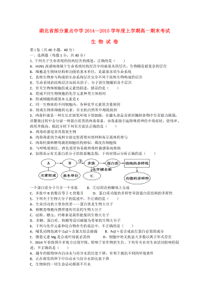 湖北省部分重点中学学高一生物上学期期末考试试题.doc