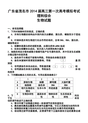 广东省茂名市高三第一次高考模拟考试理科综合试题及答案.doc