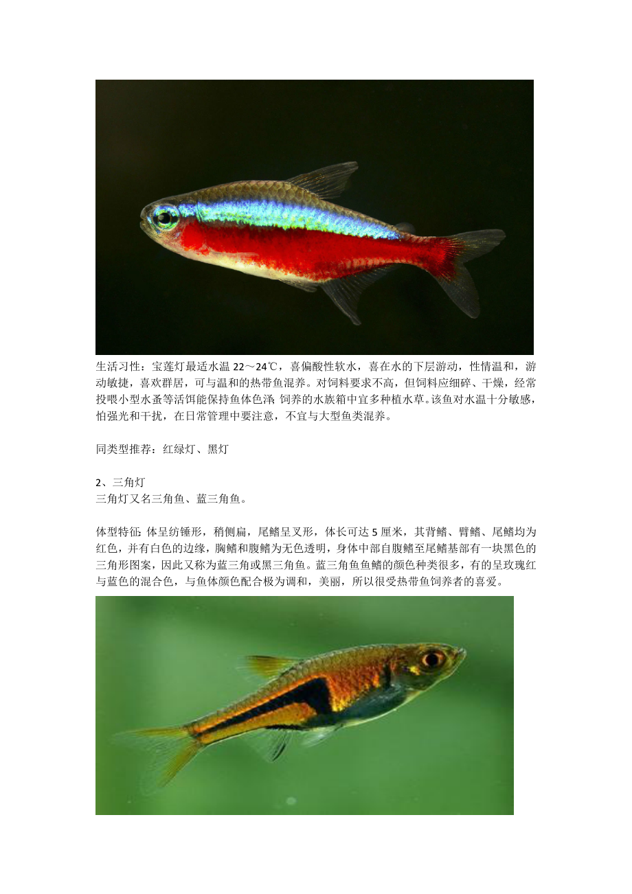 10种最适合养在水草缸的小型热带鱼.docx_第2页