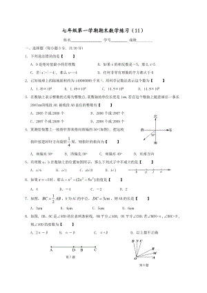 七级第一学期期末数学练习.doc