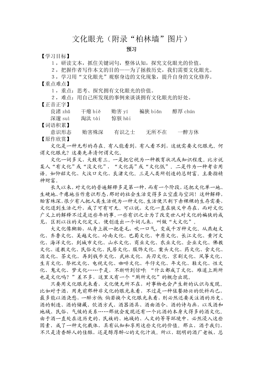 《文化眼光》预习学案(附录“柏林墙”图片素材).doc_第1页