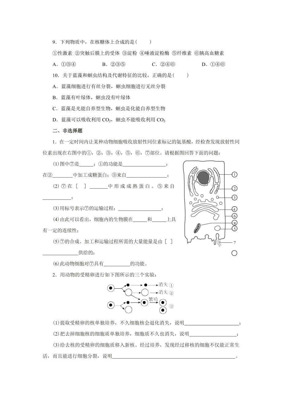 人教 高一 生物 必修一 第三、四、五章习题 以及期末考试题.doc_第2页