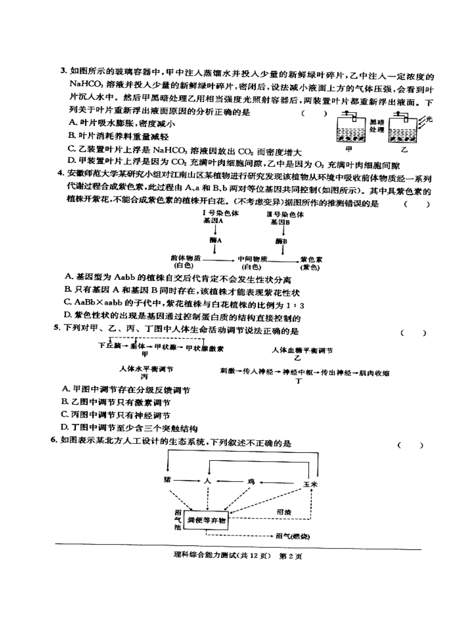 安徽省江南十校高三开第一考理科综合试题及答案.doc_第2页