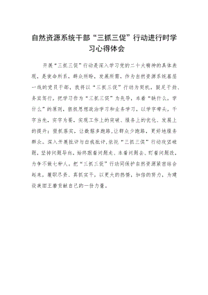 自然资源系统干部“三抓三促”行动进行时学习心得体会.docx