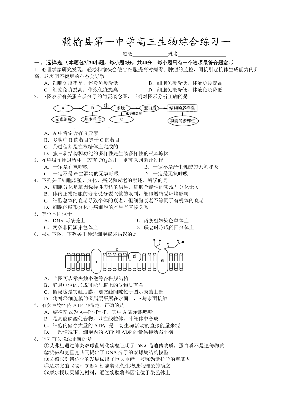 赣榆县第一中学高三生物综合练习.doc_第1页