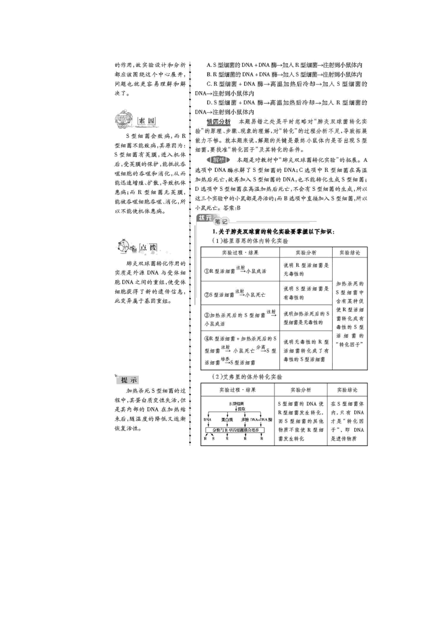 《高考状元纠错笔记》生物(新课标版)：4遗传的细胞基础和分子基础.doc_第3页