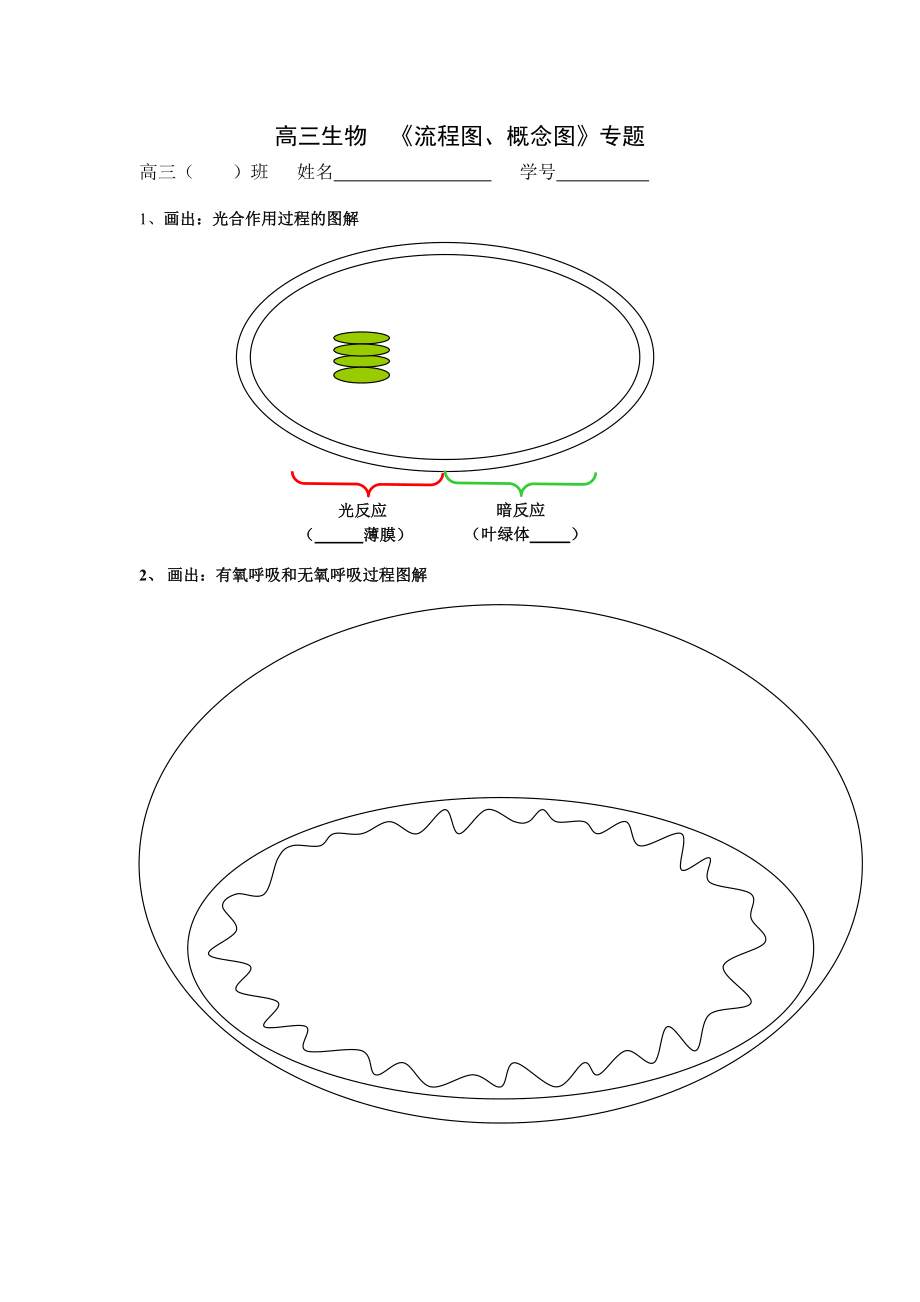 流程图、概念图归纳.doc_第1页