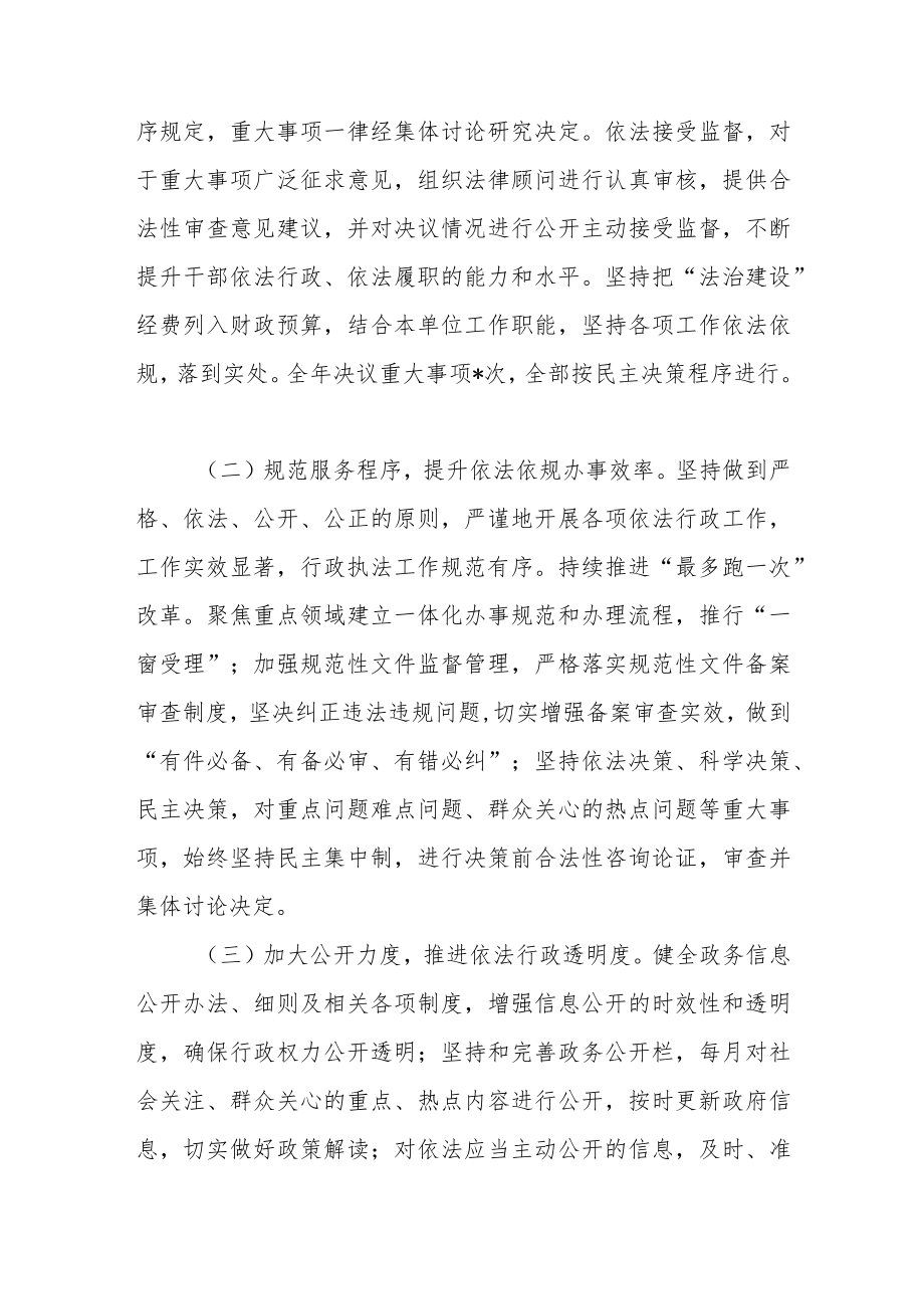 年法治政府建设履行第一责任人述法报告.docx_第3页