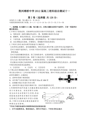 荆州滩桥高中高三理综十一测试试卷全部.doc