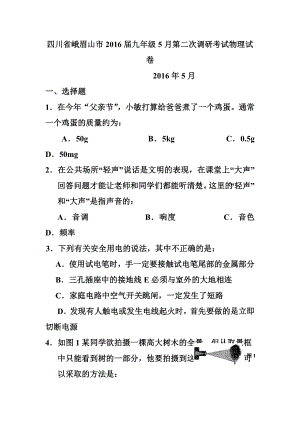 四川省峨眉山市九级下学期第二次调研考试物理试卷及答案.doc