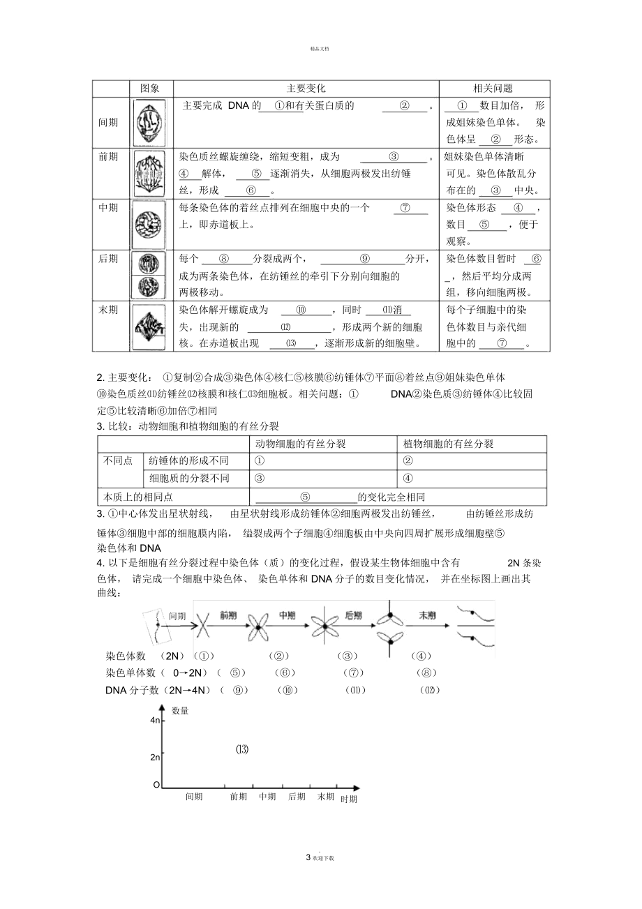 《细胞的增殖》导学案.docx_第3页