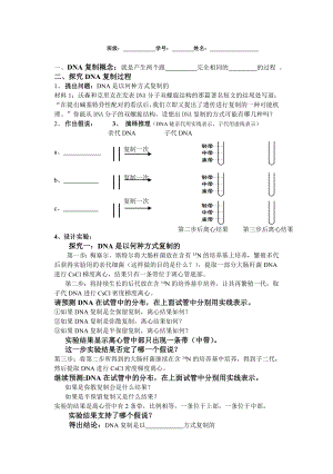 高中生物课件：《遗传信息的传递》学案.doc