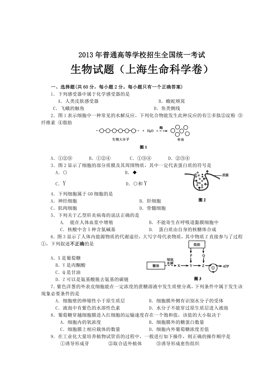 上海高考生命科学试卷(精校含答案).doc_第1页