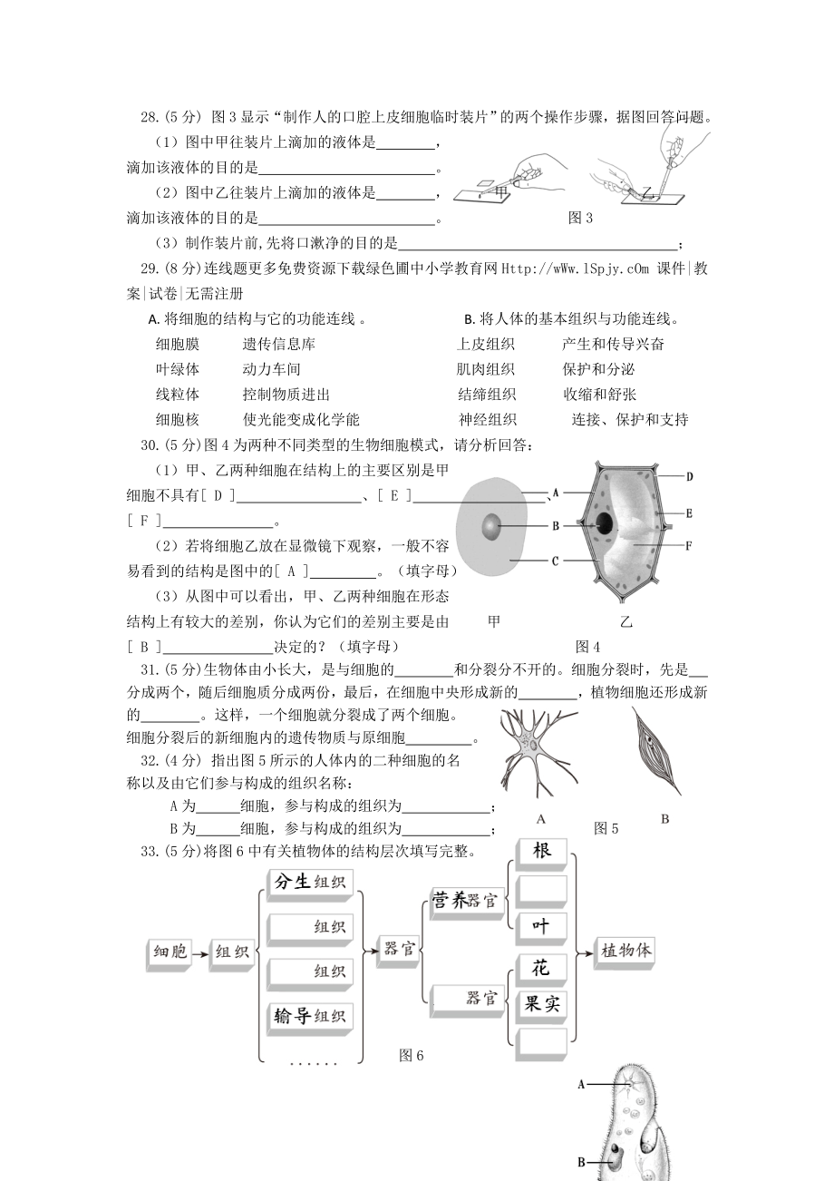 新人教版七级生物上册优秀期中考试试卷和答案下载.doc_第3页