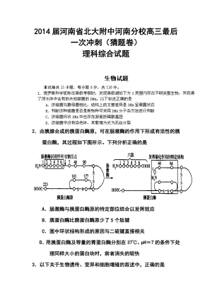 河南省北大附中河南分校高三最后一次冲刺（猜题卷）理科综合试题及答案.doc