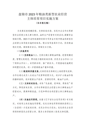 盘锦市2023年粮油类新型农业经营主体培育项目实施方案.docx