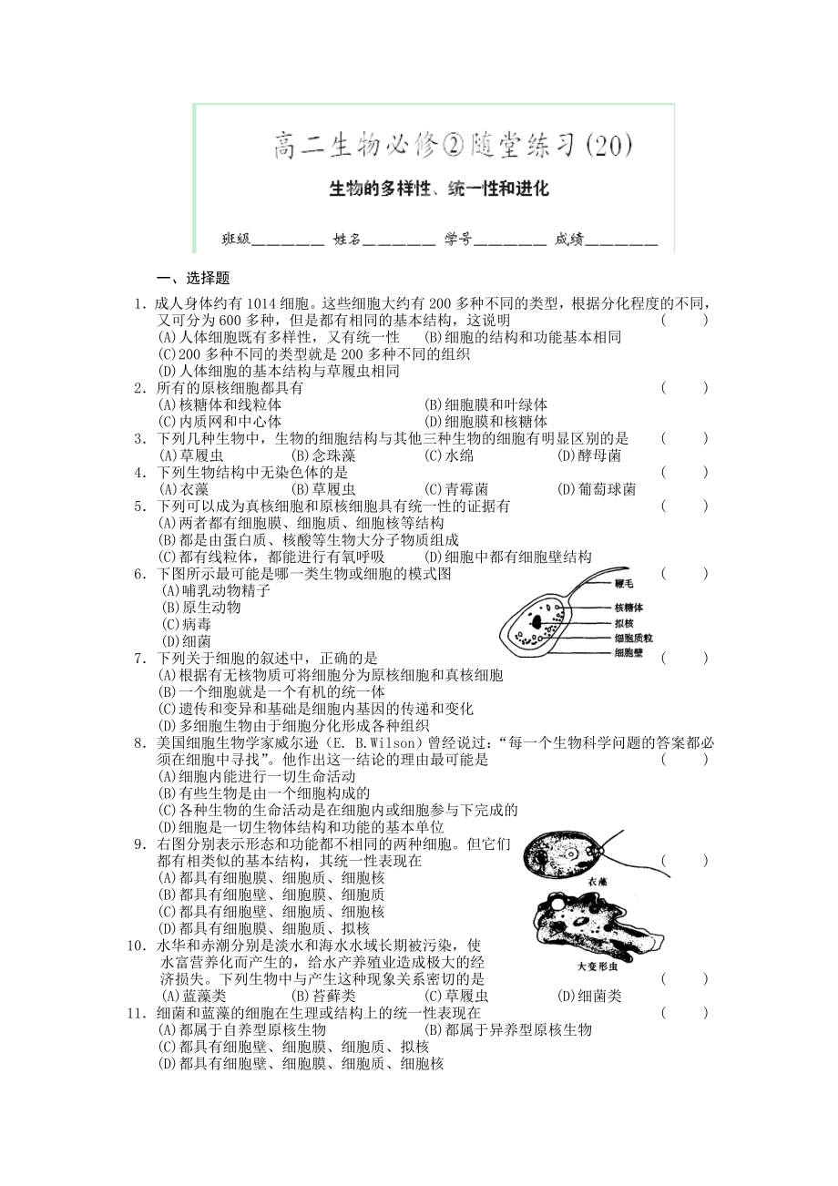 浙江省义乌三中高二生物必修二随堂练习生物的多样性、统一性和进化.doc_第1页