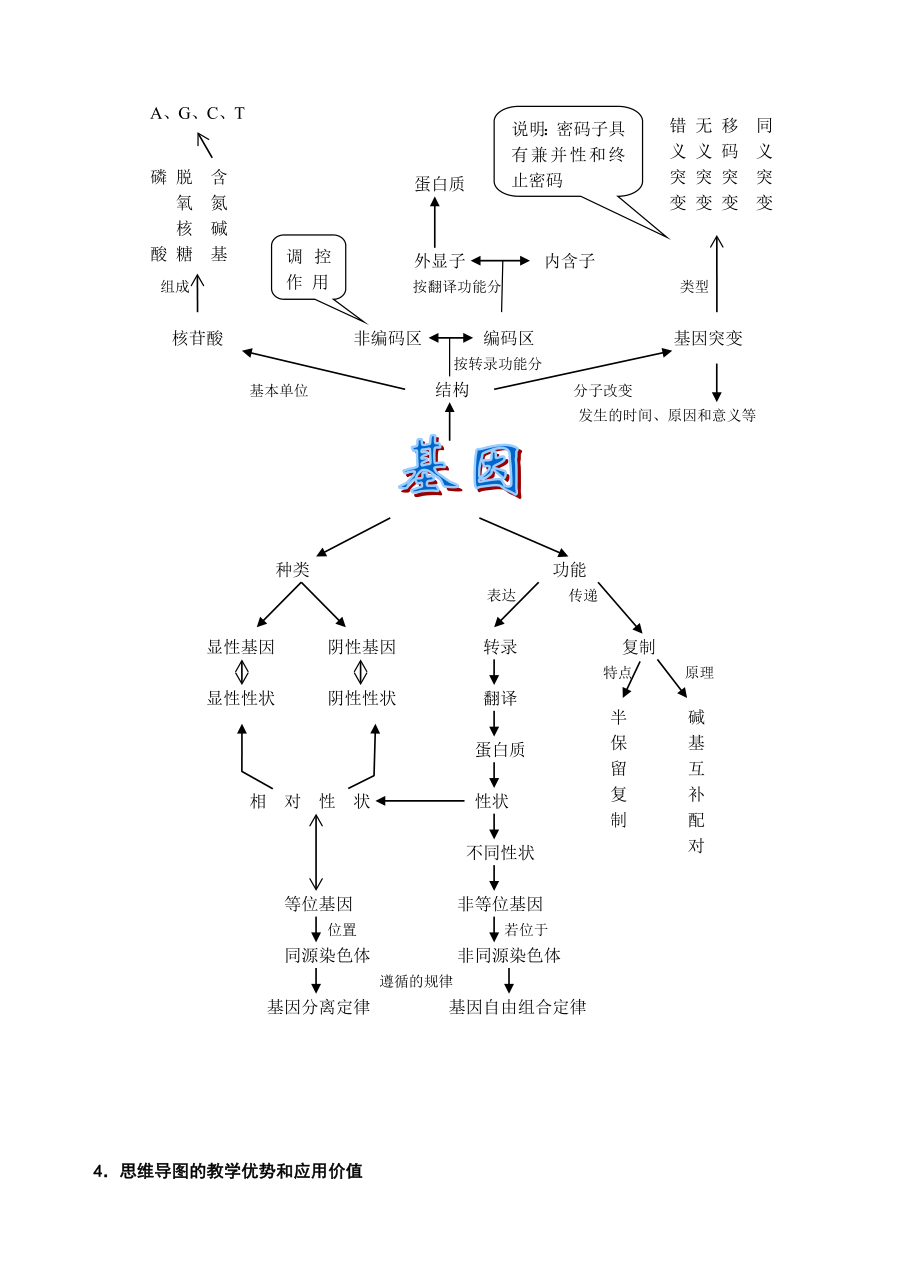 高中生物复习中思维导图的构建与运用.doc_第2页