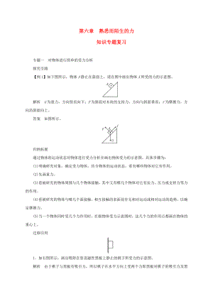 (新版)沪科版八年级物理全册第六章熟悉而陌生的力知识专题复习教案.doc