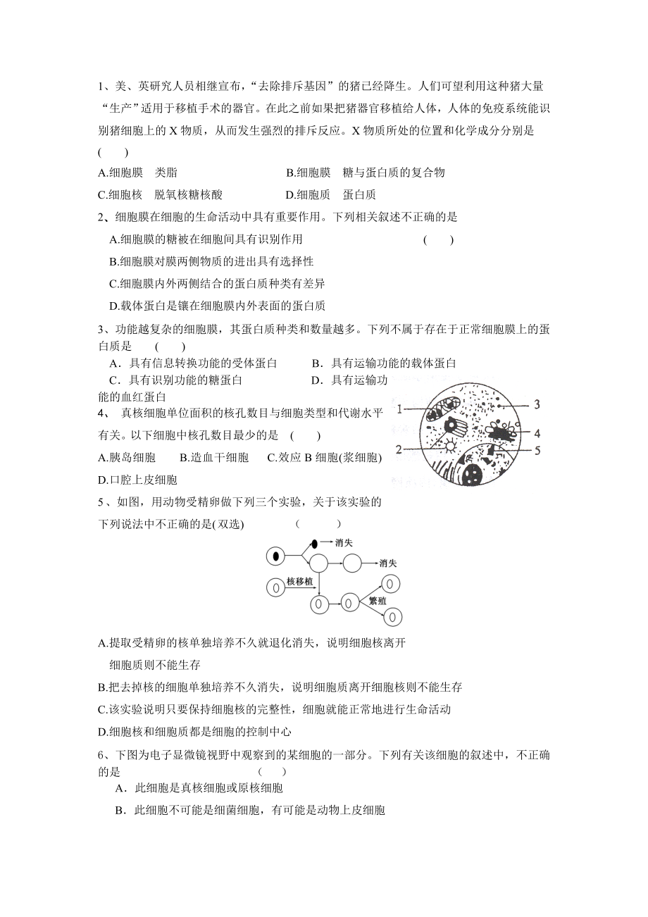 《细胞的基本结构》复习学案.doc_第3页