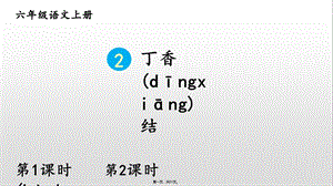 六年级语文上册课件丁香结【交互版】.ppt