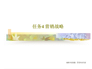 任务4-营销战略.ppt