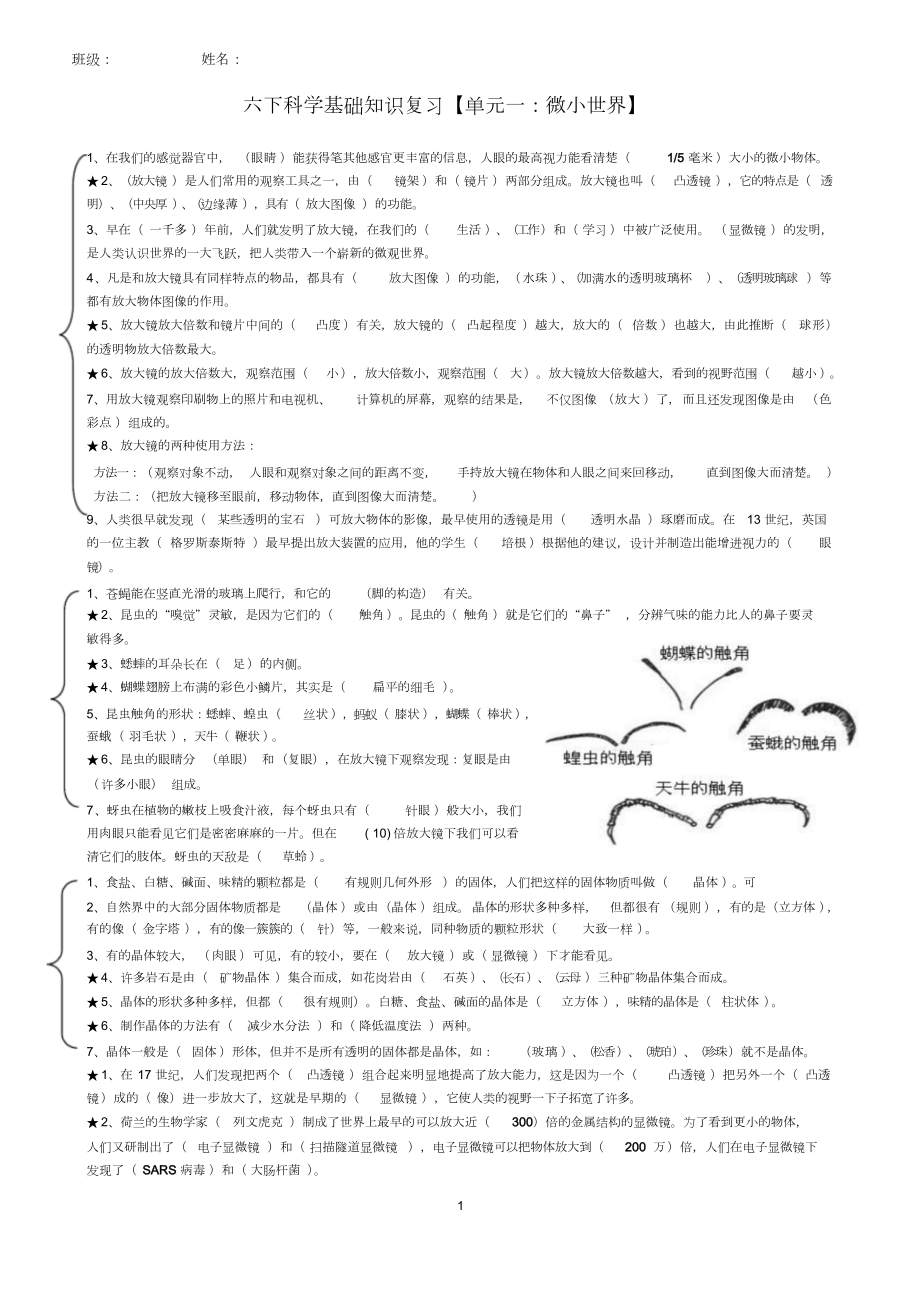 六下科学基础知识第1-4单元.docx_第1页