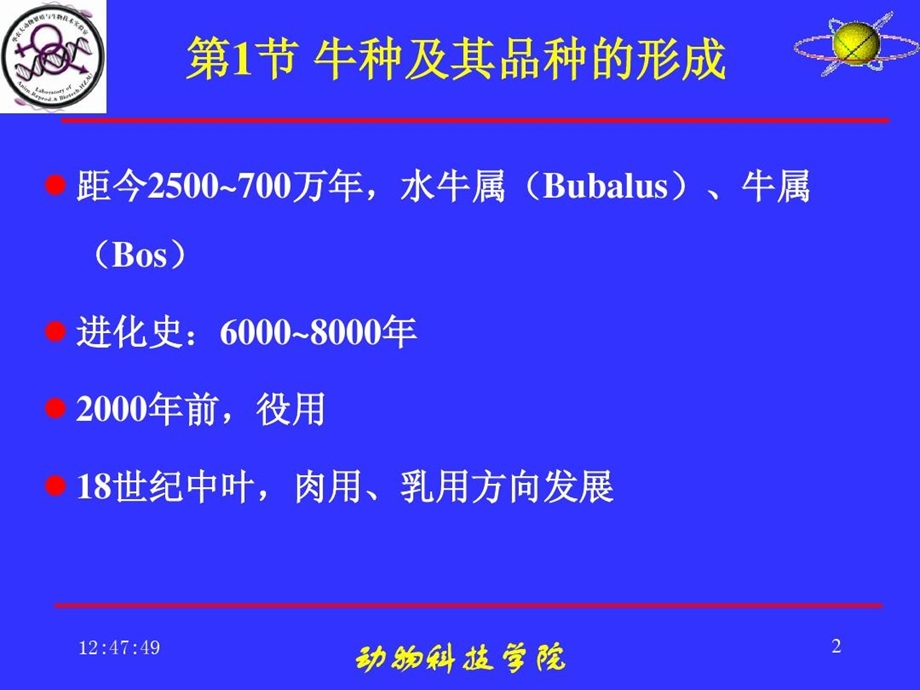 养牛学-牛种及其品种.ppt_第3页