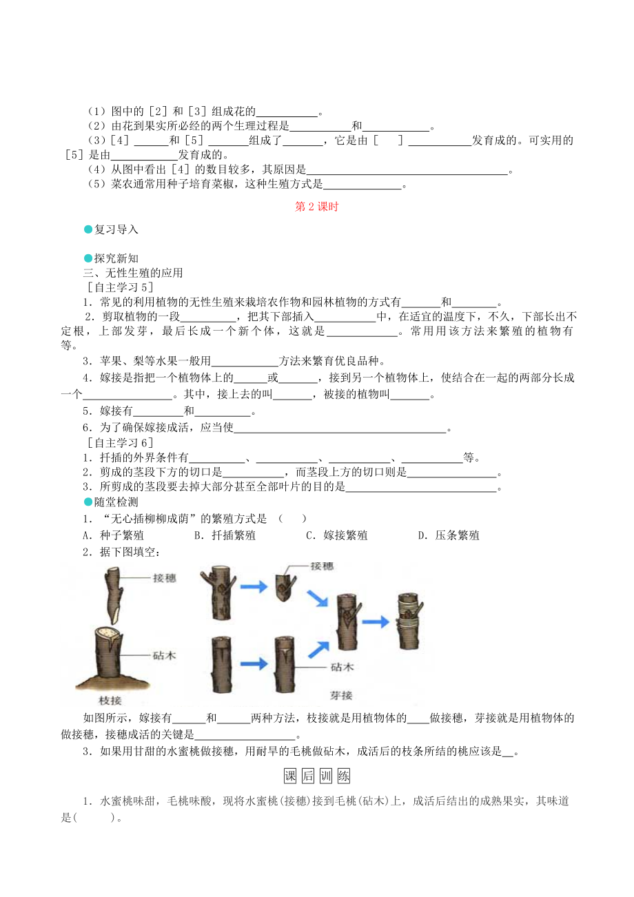 初中八年级生物下册第7单元第1章第1节植物的生殖学案1新版新人教版精编版.doc_第3页