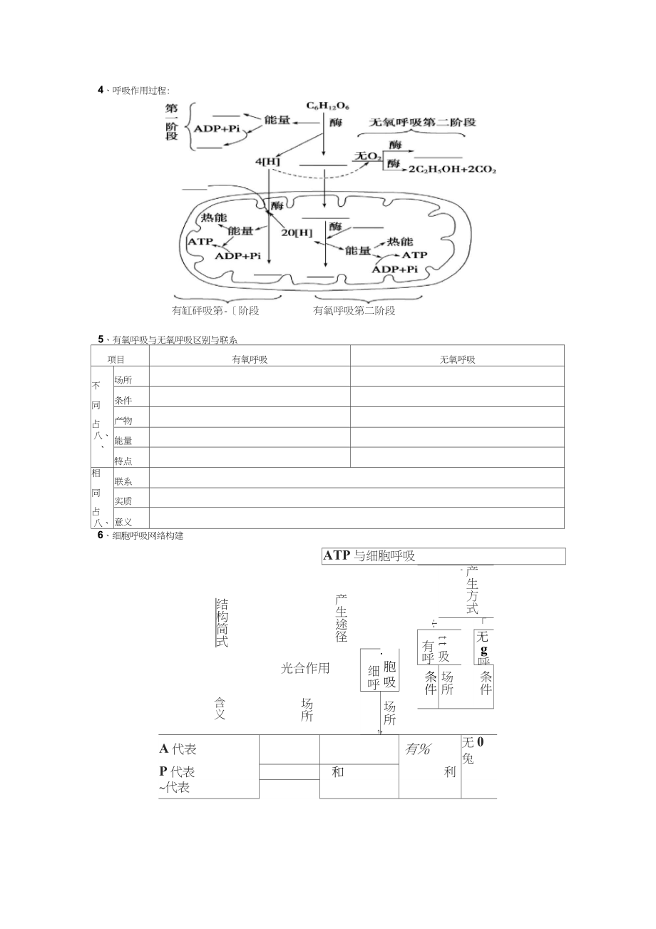 光合作用与呼吸作用专题复习汇编.docx_第2页