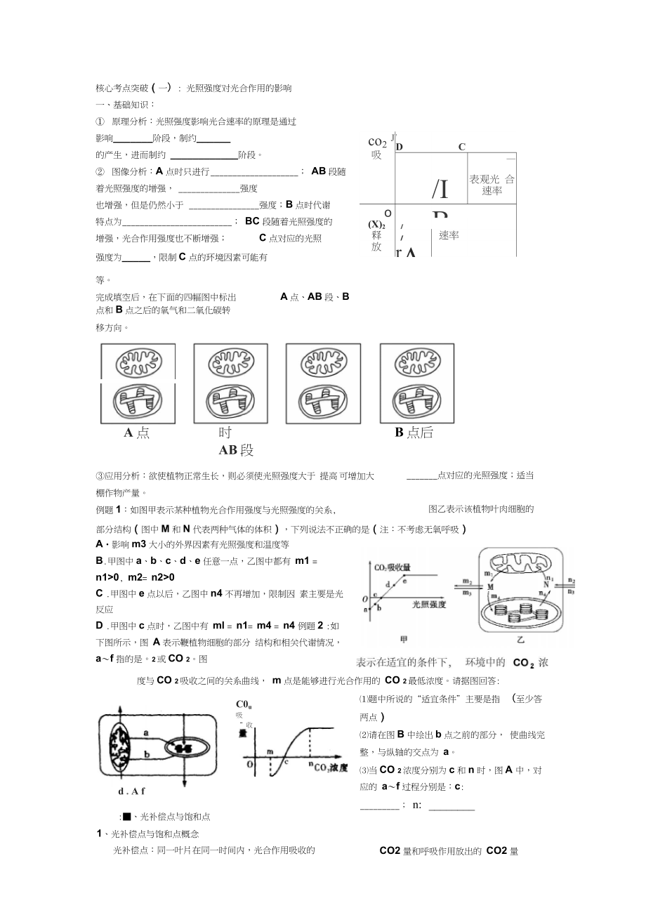 光合作用与呼吸作用专题复习汇编.docx_第3页