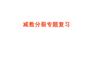 人教版新教材《减数分裂》课件.ppt