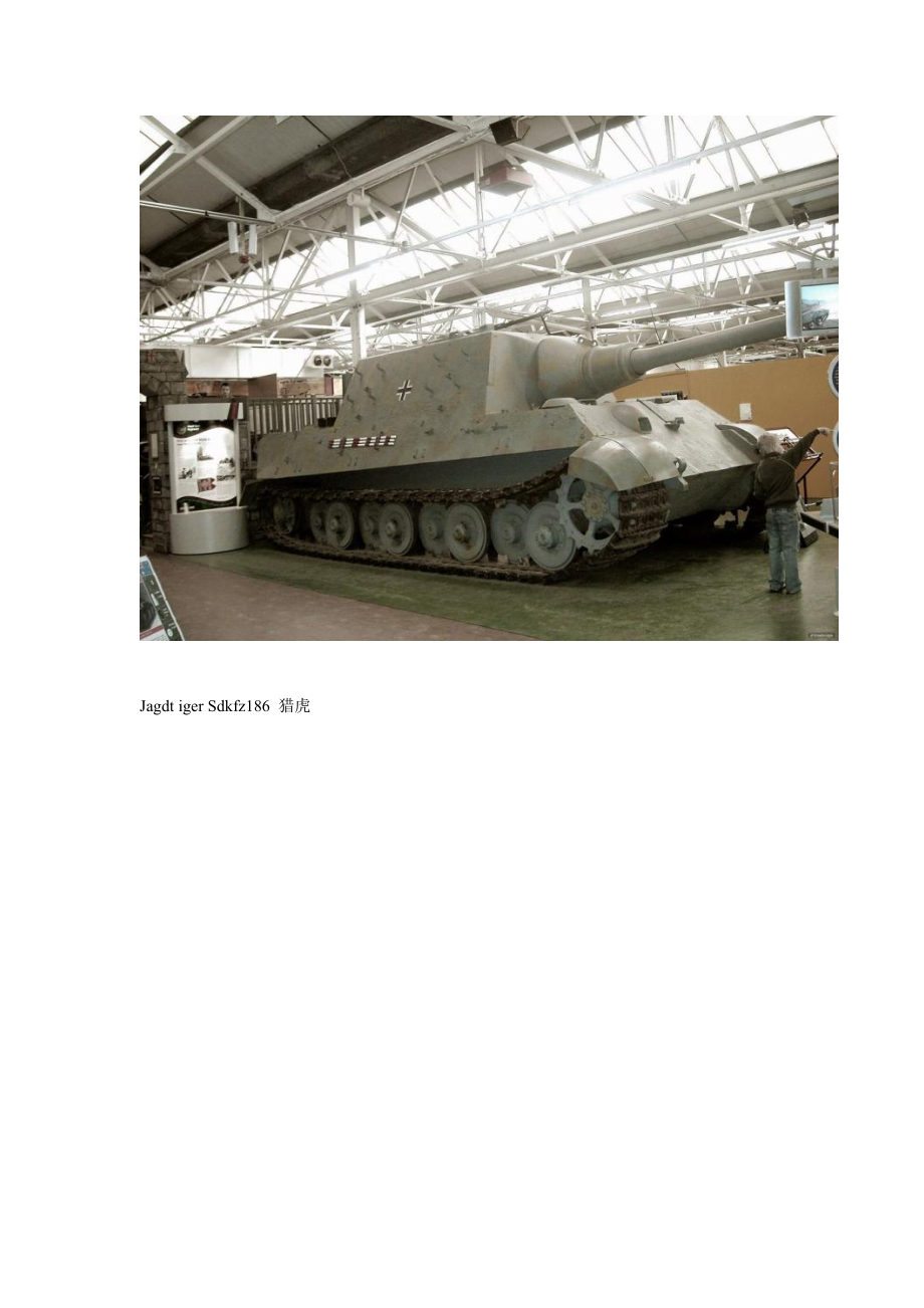 二战德军装甲运输车辆全图.doc_第2页