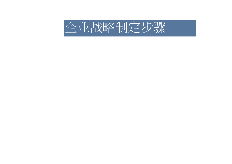 企业战略规划流程指导.docx_第1页