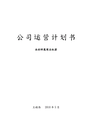 公司运营实施计划书.doc