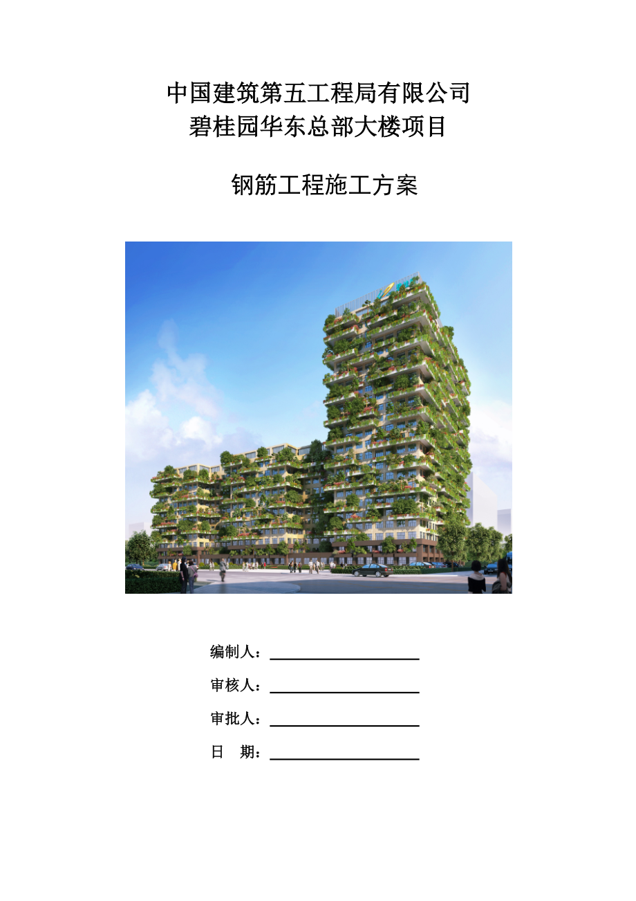 中建-钢筋工程施工方案(报甲方).doc_第1页