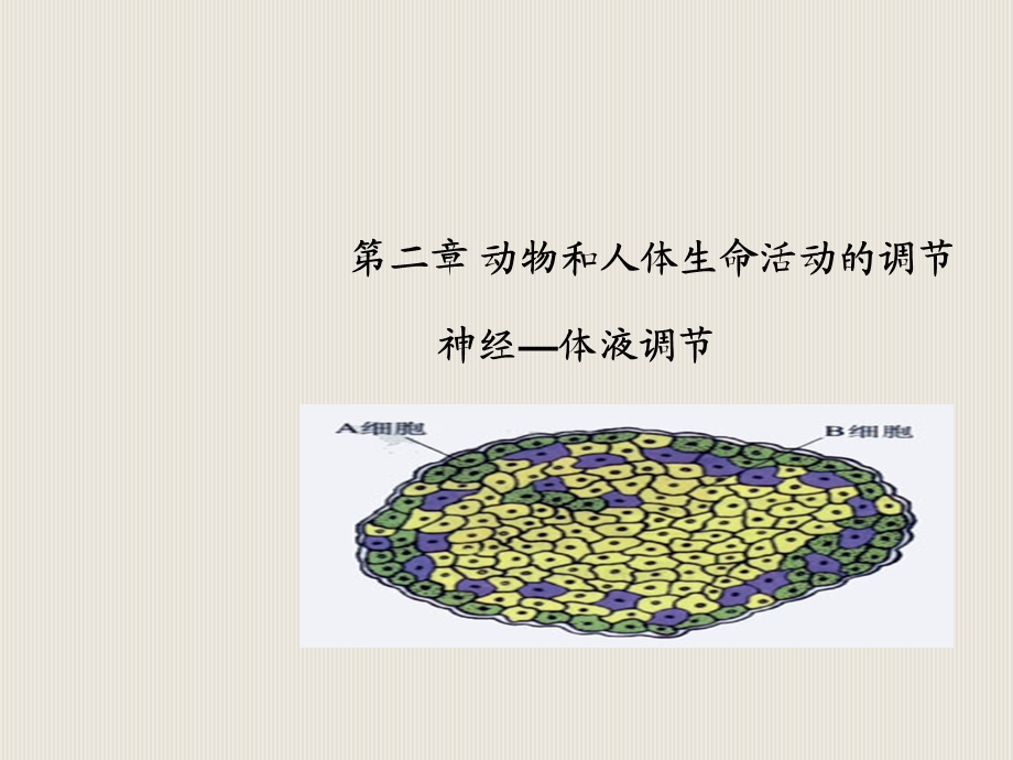 二章动物和人体生命活动的调节.ppt_第1页