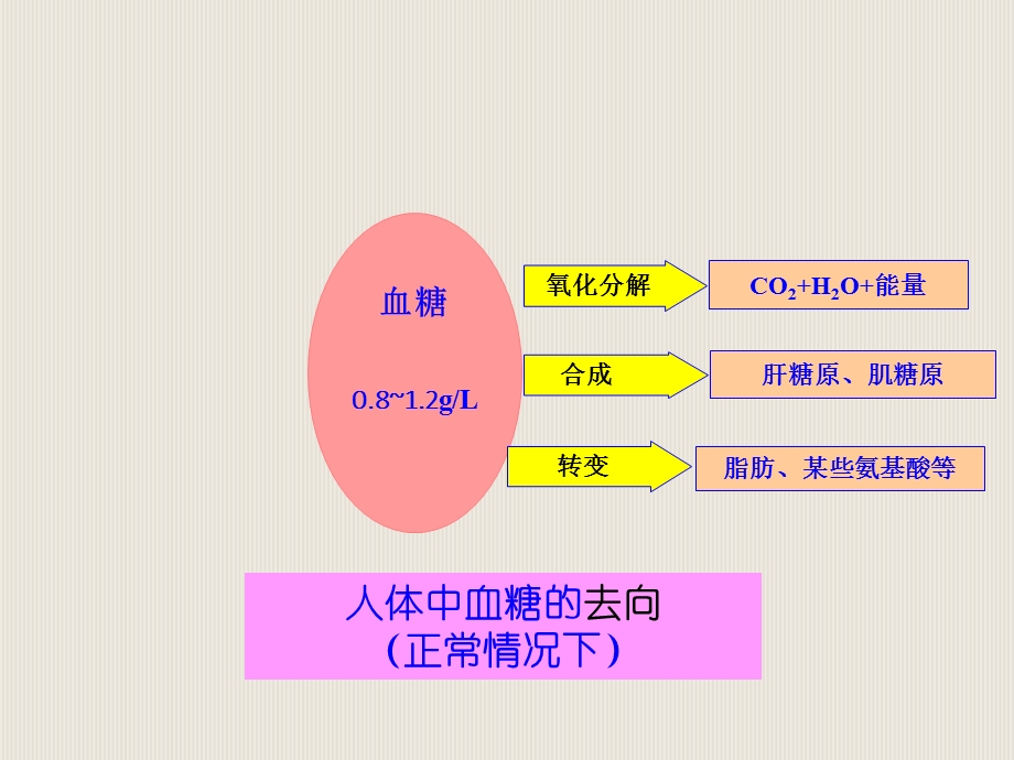 二章动物和人体生命活动的调节.ppt_第3页