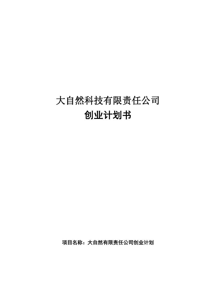 便携式空气净化器创业计划书.doc_第1页