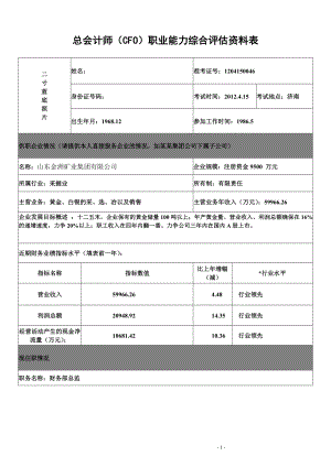 最新cfo职业能力综合评估表模板.doc2.doc