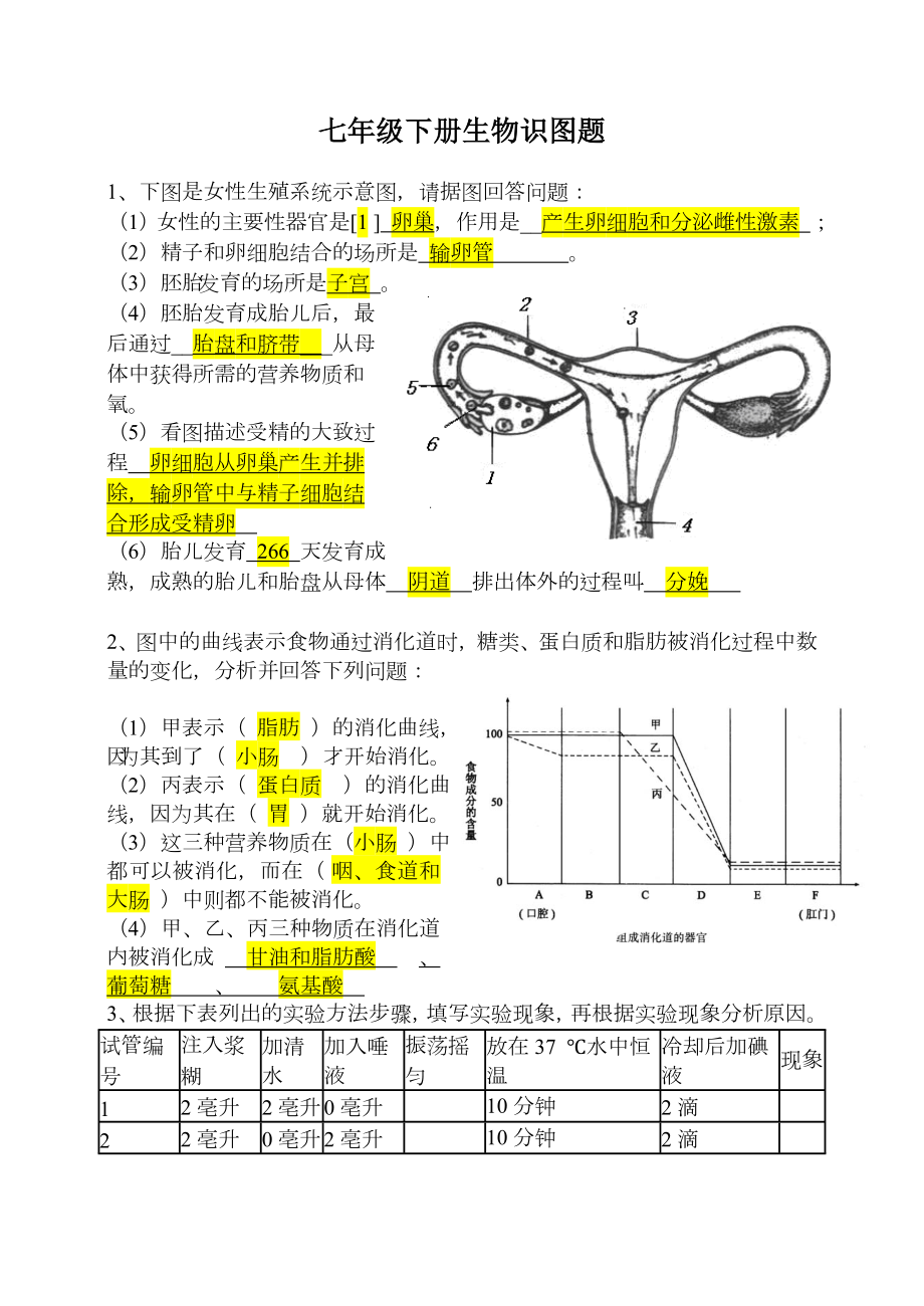 人教版七年级下册生物识图题(答案).doc_第1页