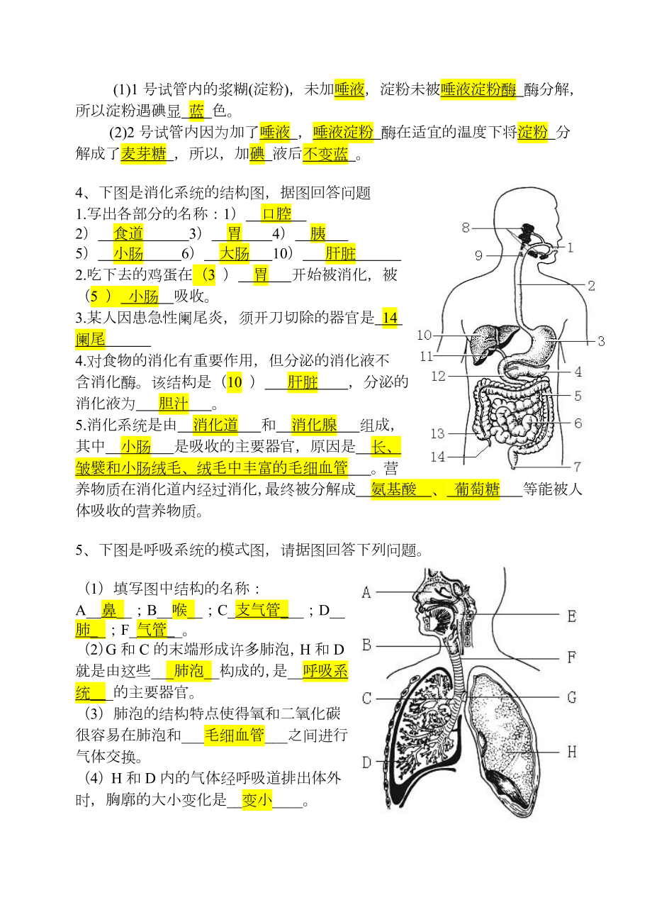 人教版七年级下册生物识图题(答案).doc_第2页