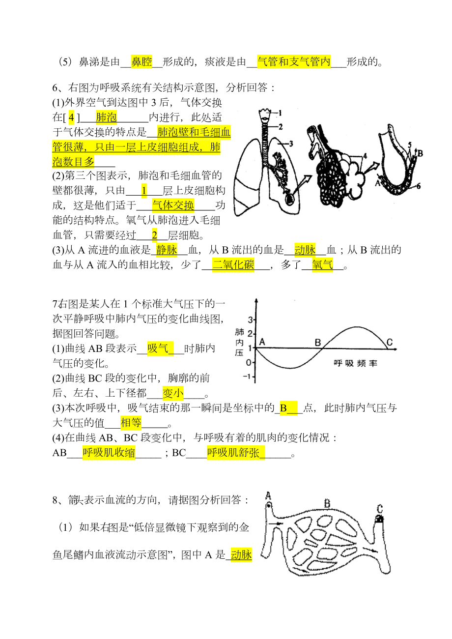 人教版七年级下册生物识图题(答案).doc_第3页