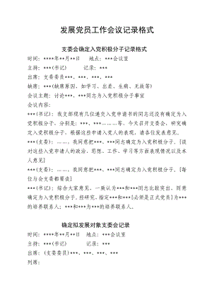 发展党员工作会议记录格式.doc