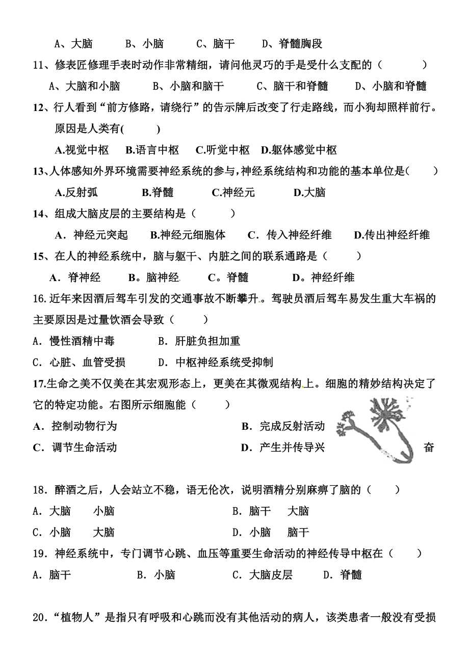 神经调节的结构基础(练习题及答案).docx_第2页